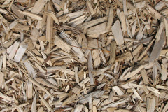 biomass boilers Langlees